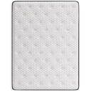 M411_4.webp
