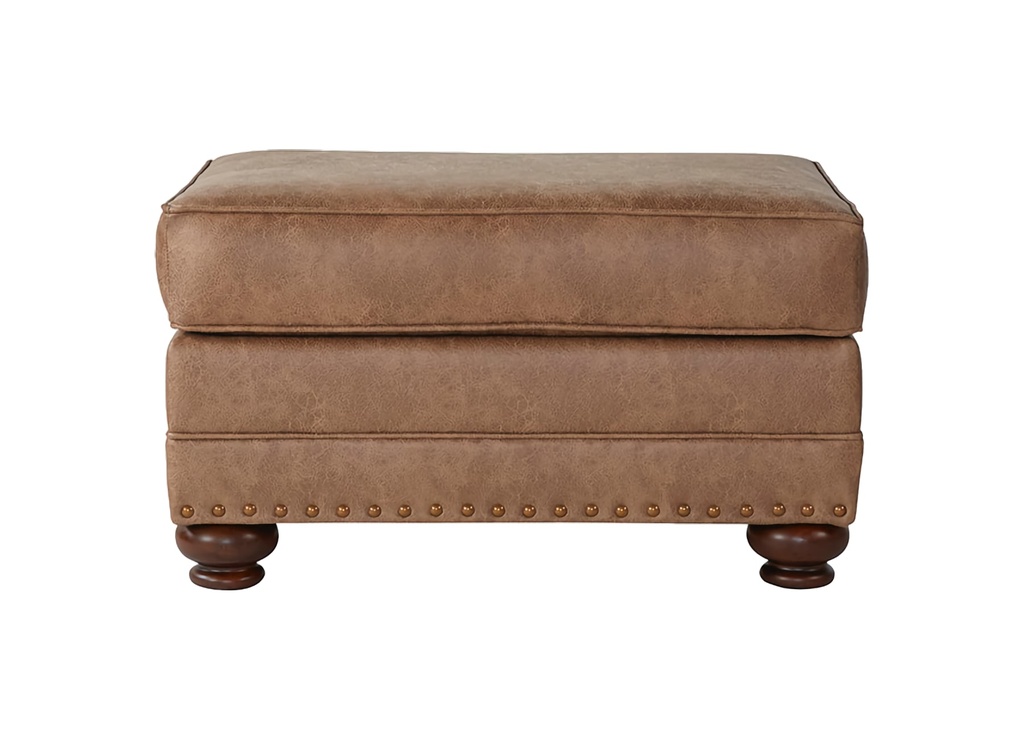 17410-OTT-GINGER